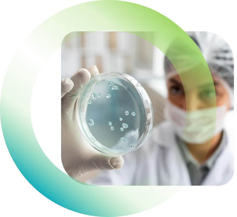 A clinician examining a culture dish of stem cells in the lab